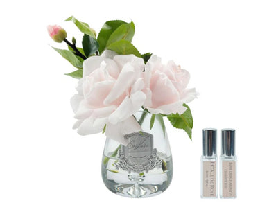 Tea Rose French Pink - Clear - TR06